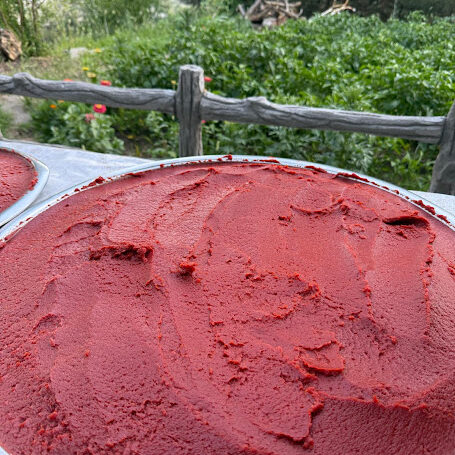 domates salçası